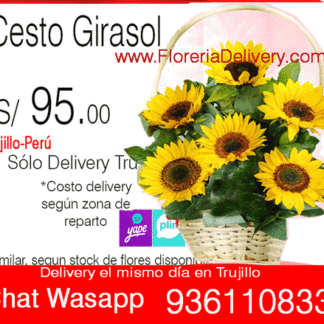 Cesto Girasol