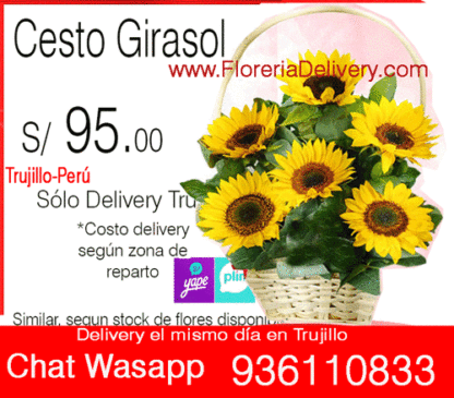 Cesto Girasol