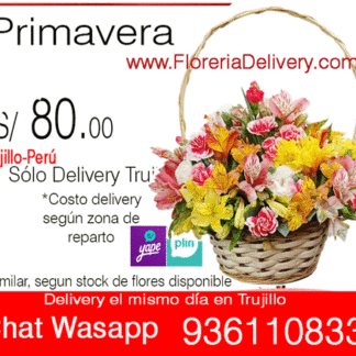Cesto Primavera