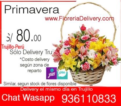 Cesto Primavera