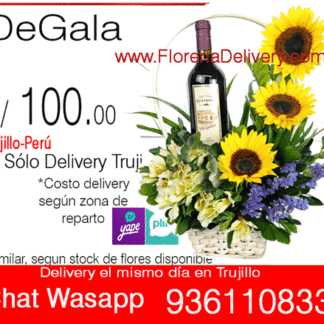Cesto Dgala