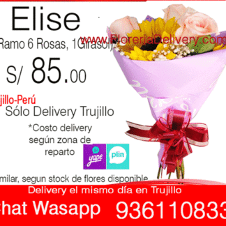 Ramo Elise