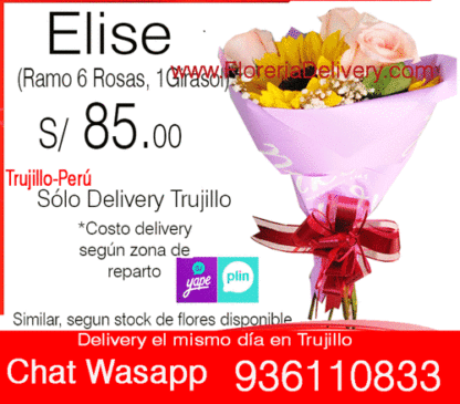 Ramo Elise